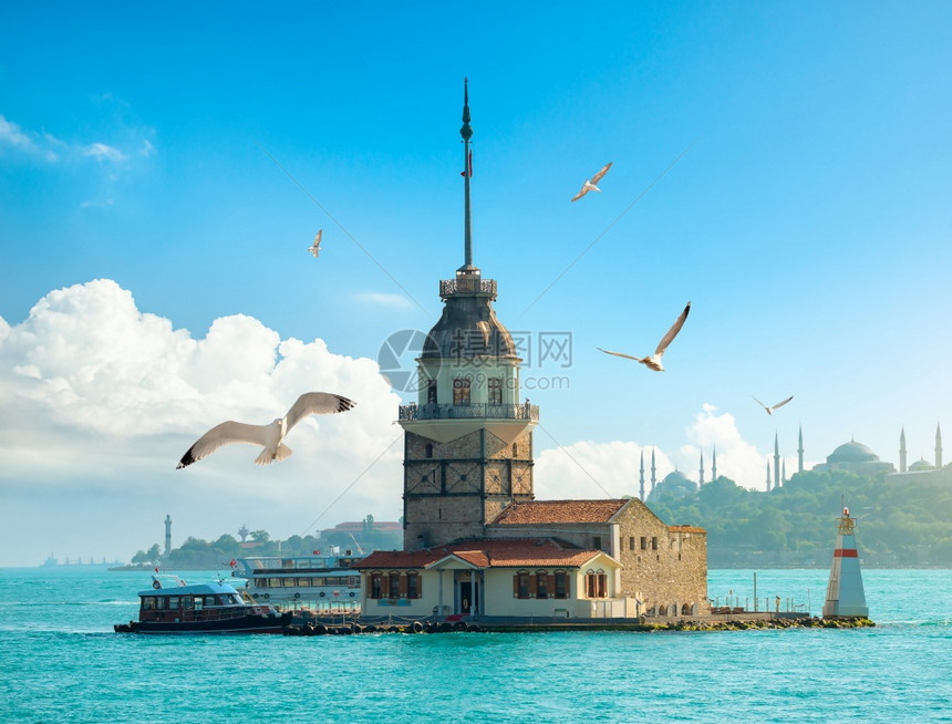 日复一伊斯坦布尔迈登塔附近海鸥图片