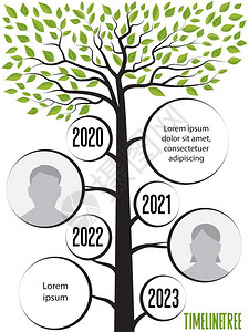 带有文字空间的时线形树的矢量插图有树叶的时间线图片