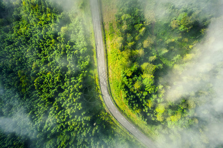 夏季绿林道路空中观察图片