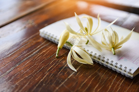 白香冠花或米其丽雅白凉鞋木和关于铁制玉兰花的笔记本纸背景图片
