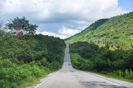 通往山上的绿植道路图片