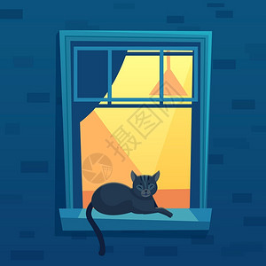 黑色小猫在窗帘上休息背景图片