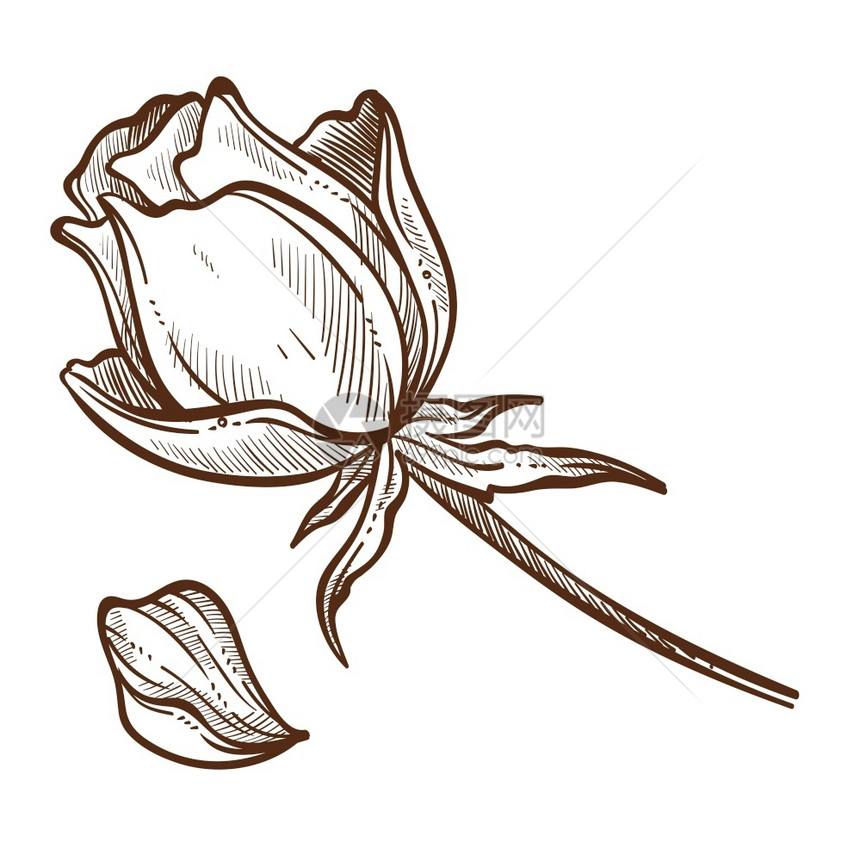黑白玫瑰花矢量元素图片