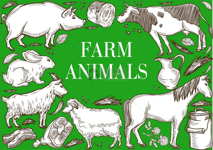 牛和畜牧农场动物框架包括农牧饲养的牛猪奶羊野兔肉草木林和农业图片