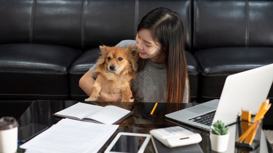 在客厅沙发或上与宠小狗可爱和监护人一起工作时生活平衡概念图片