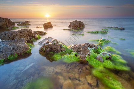 美丽的海景自然构成日落自然的合成水雾石头上的海藻背景图片