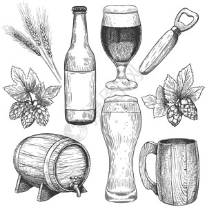 麦芽酒啤酒酒花咖啡厅设计孤立元素手绘啤酒纸杯子和桶瓶酒麦芽和大饮料手画啤酒杯子和桶饮料插画