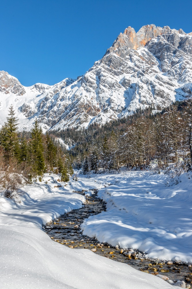 荒冬的季风景惊人的山脉美丽河流雪树和蓝天空图片