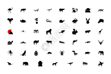 野生动物黑色设置的固态风格矢量说明野生动物黑色设置的固态风格图像图片