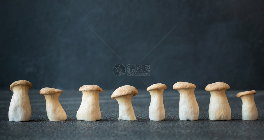 深木本底生牡蛎蘑菇图片