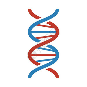 图标DNA平面彩色设计矢量说明图片