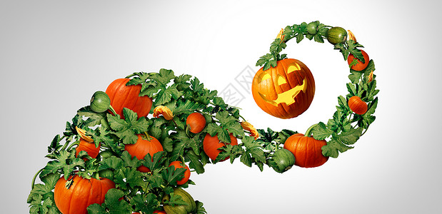 万圣节快乐的南瓜叶作为秋天节日的假期灯笼装饰的旋转元素图片
