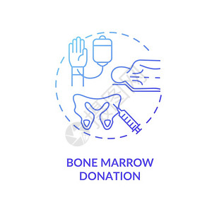 Bone骨髓捐赠概念图标医疗慈善干细胞治疗概念线插图骨组织提取程序矢量孤立大纲RGB颜色绘图骨髓捐赠概念图标背景图片