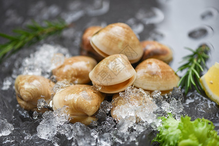沙拉海产贝类在餐厅冰冻的上成分高清图片素材