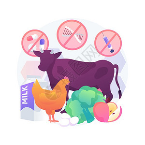 有机产品牲畜农业选择健康食品富营养农场市抽象比喻无抗生素荷尔蒙的转基因生物食品抽象概念矢量说明背景图片