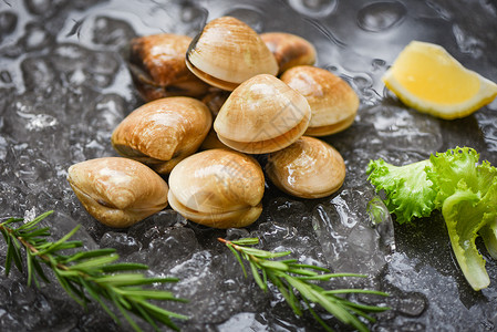 餐厅冰冻的海食贝类新鲜的壳蛤配有沙拉的草药成分自然的高清图片素材