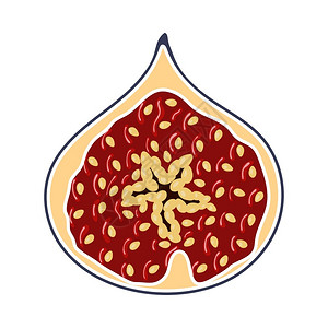 卡通无花果矢量图标图片