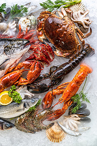 各种新鲜奢侈海龙虾鲑鱼竹鳄龙虾章鲸红扇贝和石蟹以冰底为背景海鲜市场上有冰烟成分高清图片素材