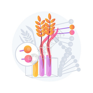 转基因植物抽象概念矢量说明转基因作物植生技术农业增加新特征gmo农耕转基因抽象比喻转基因植物抽象概念说明转基因植物背景图片