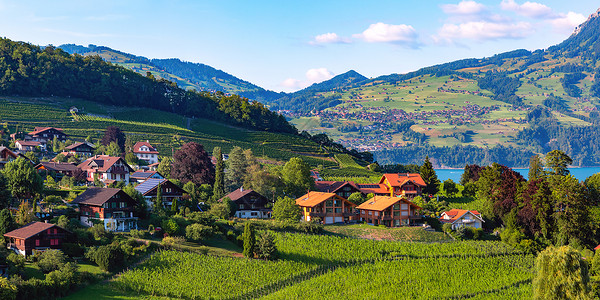 瑞士伯尔尼州斯皮兹伯尔尼通湖沿岸的Spiez村背景图片