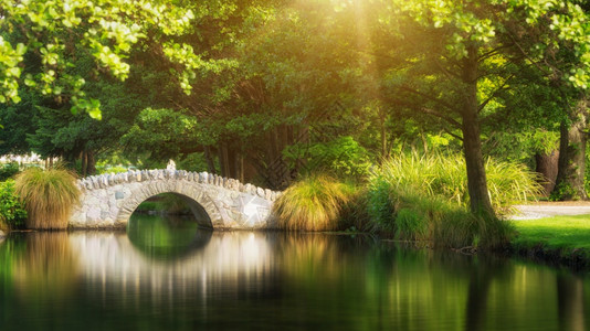 夏天在温暖的阳光下在一座植物园的美丽桥上反射池塘水在新西兰皇后镇的一座花园中被击身亡日本高清图片素材