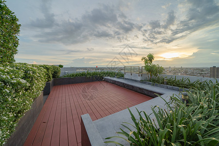在公用寓或旅馆的私人屋顶上天空花园高楼建筑有树草场和蓝天背景图片