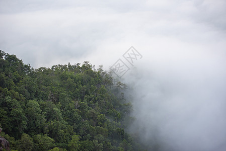 亚洲米斯提风景山雾及空中最上方的森林树景色图片