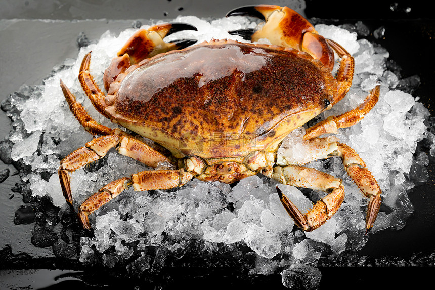 鲜的佛罗里达石蟹在黑板上的冰堆新鲜食品海在市场概念上图片