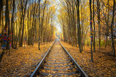 在日落的秋天森林中美丽的铁路火车站工业景观山上多彩的橙色和黄叶子的树木倒塌乌克兰爱隧道的旧铁路日落秋天森林中美丽铁路工业背景图片