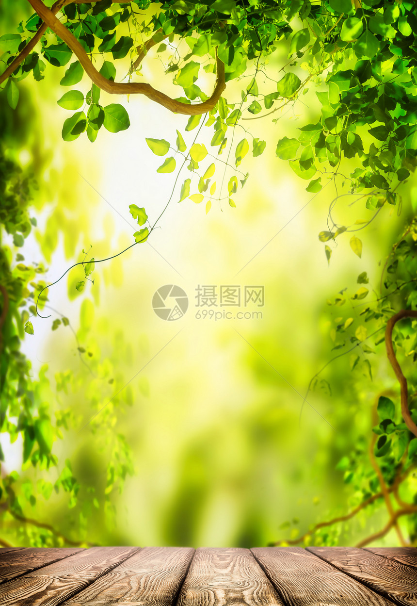 绿色花园藤葡萄和木制桌的背景图片