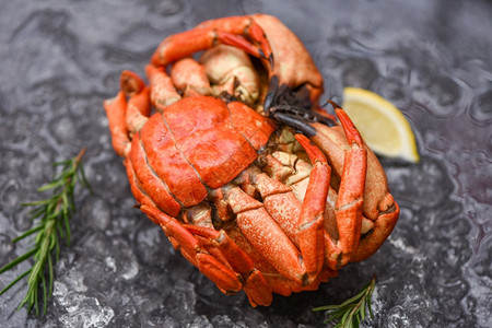 海食贝壳鱼蒸红色螃蟹或煮石头含有柠檬迷迭香成分的新鲜螃蟹图片