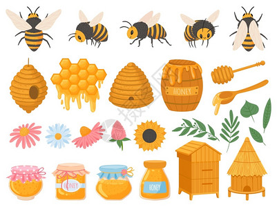 养蜂产品玻璃罐中的各种蜂蜜巢花卉和蜜有机食物矢量组蜂蜜和养甜味有机食物矢量组玻璃罐中的各种蜂蜜产品巢花卉和蜜有机食物矢量组蜂窝蜜背景图片