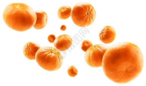 橙橘子在白色背景上悬浮橙橘子在白色背景上悬浮节食高清图片素材