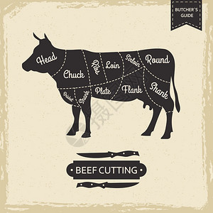 牛身体屠宰者图书馆老旧页面切牛肉矢量海报设计屠宰划说明烹饪食品图表插画