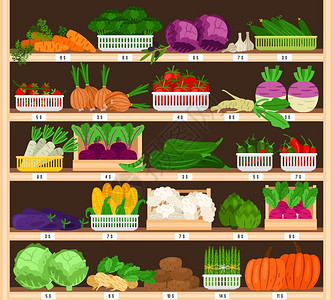 蔬菜价格蔬菜在货架上销售蔬菜在价格上市场生态超成熟健康有机杂货销售番茄和南瓜大蒜玉米病媒说明蔬菜在价格上市场大蒜和玉米插画