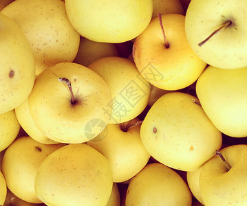 黄苹果大数量背景图片