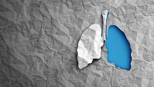 输卵管检查肺部健康和病作为科癌或呼吸系统疾病支气管呼吸或哮喘的道医学输卵管使用3D插图样式背景