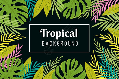 热带背景雨林棕榈树叶框架图片