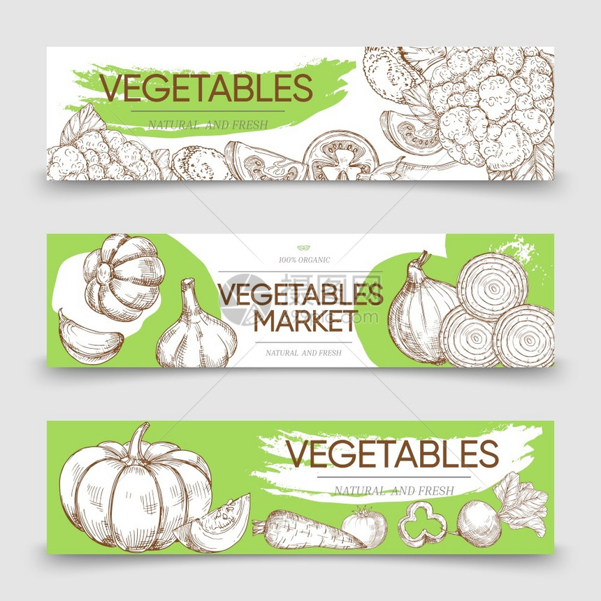 蔬菜市场洋葱和卷心插图蔬图片
