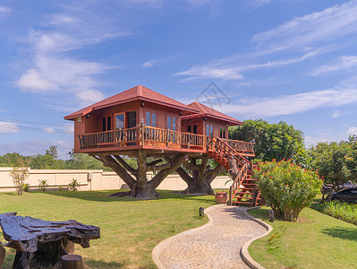 树木屋或有花园院子的家庭在自然和环境概念中建筑背景图片