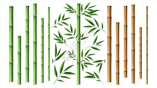 竹棒孤立的木制的高清图片
