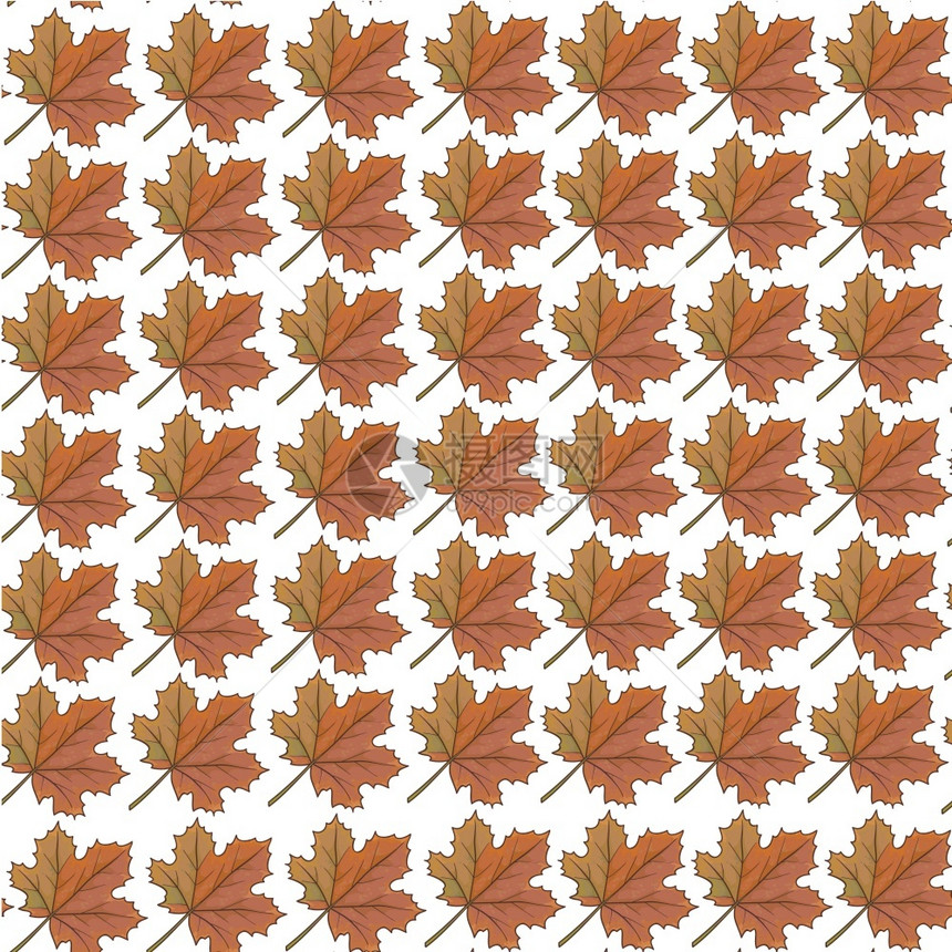 红树叶无缝的干状图案秋奥克托贝尔和诺温的秋种植物自然季节变化背景或装饰印刷品平式矢量红树叶秋干无缝图案图片