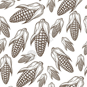 叶无缝的原始玉米烹饪和准备食物的有机品成分收获季节农业和健康营养单色草图大纲平板的病媒玉米收成有机食品原料无缝模式背景图片