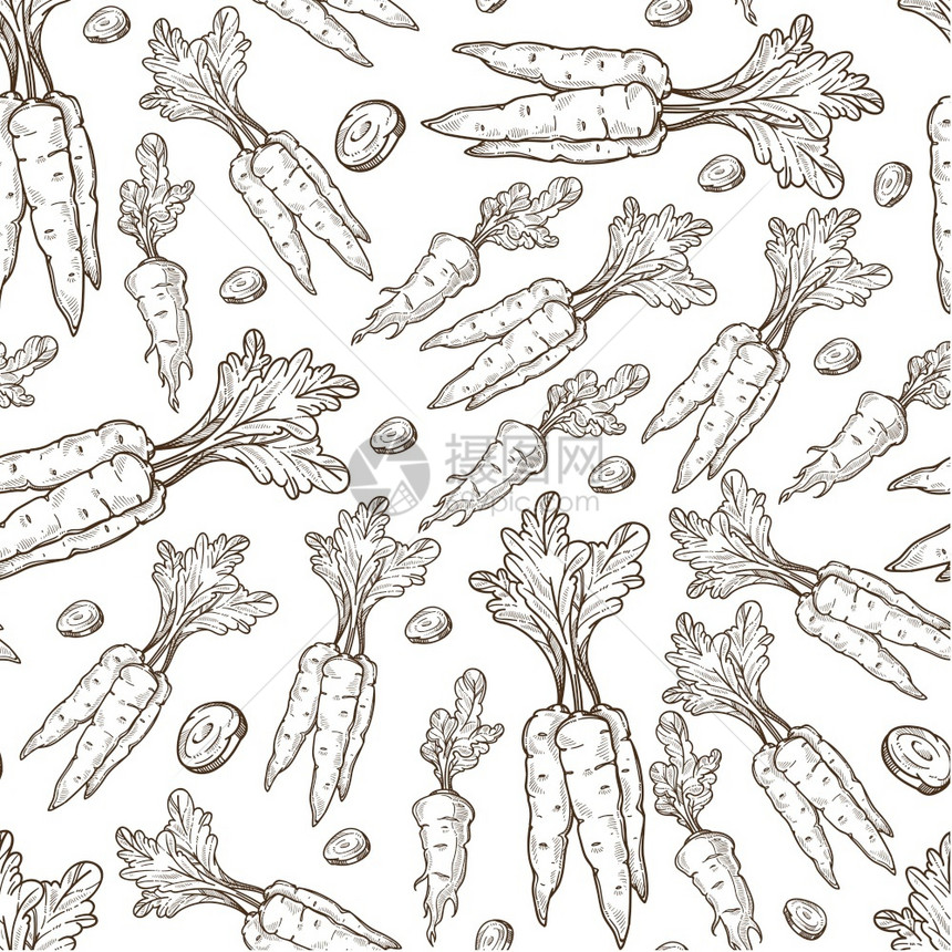 用于健康饮食或的蔬菜胡萝卜和无缝模式蔬菜或素食单为平衡种植有机产品单色素描大纲平式矢量胡萝卜有机成分蔬菜饮食无缝模式图片
