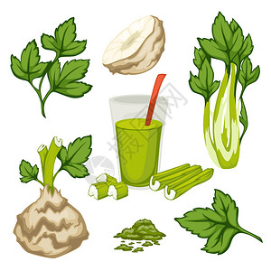 芹菜土豆丝健康饮食生活方式芹菜榨汁矢量元素插画插画