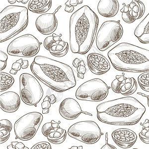 手绘单色热带食物水果矢量元素插画图片