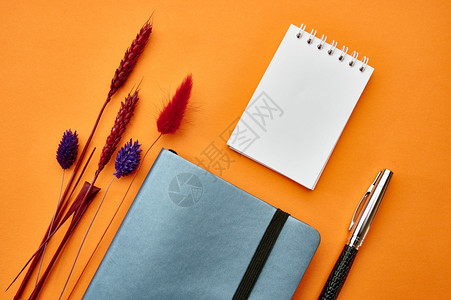 两张笔记本和橙色背景办公室文具用品学校或教育附件写作和绘画工具图片