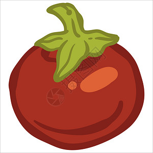 轻食餐单饮食和健康营养农场种植叶子的成熟红番茄孤立的象征蔬菜或素食单餐和零烹饪准备物的成分平板病媒绿叶番茄健康的蔬菜插画