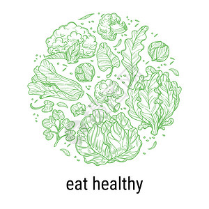食用素者的健康饮营养和菜叶沙拉生菜菠环圈标有刻字的素描轮廓标签平板的矢量食用健康有机和天然的食品产背景图片