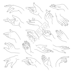 性格酷站欣赏女手腕和指优雅的被孤立女身体部分指着手和势非语言信号线艺术和表情平板的矢量用手指和向的柔软手插画